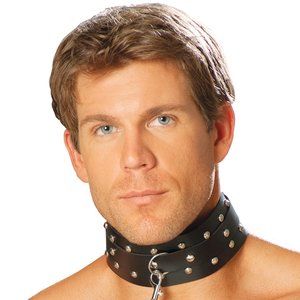 Spiked Studded Leather Collar with O Ring and Buckle